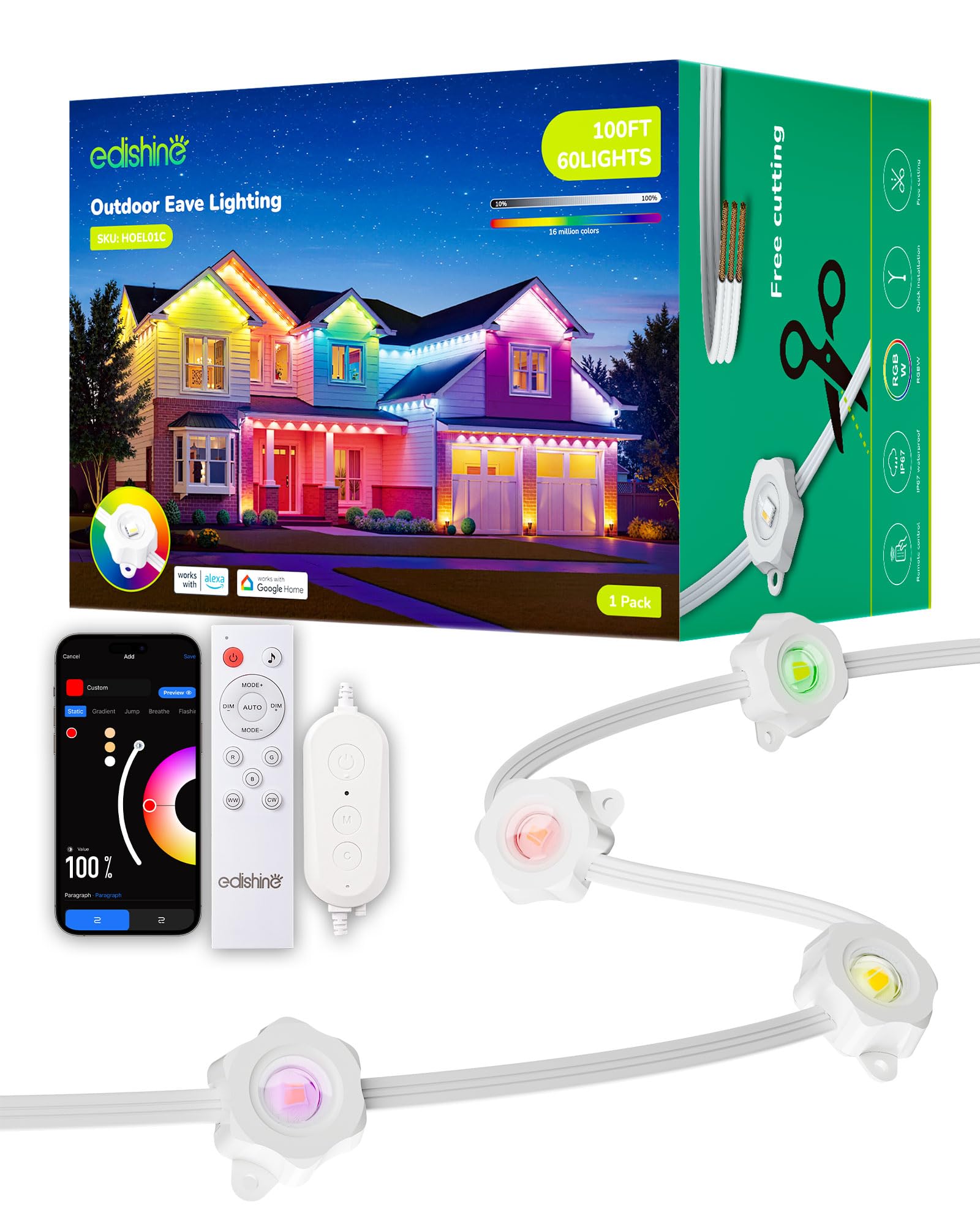 EDISHINE Permanent Outdoor Lights, 100FT with 60 RGBIC LED